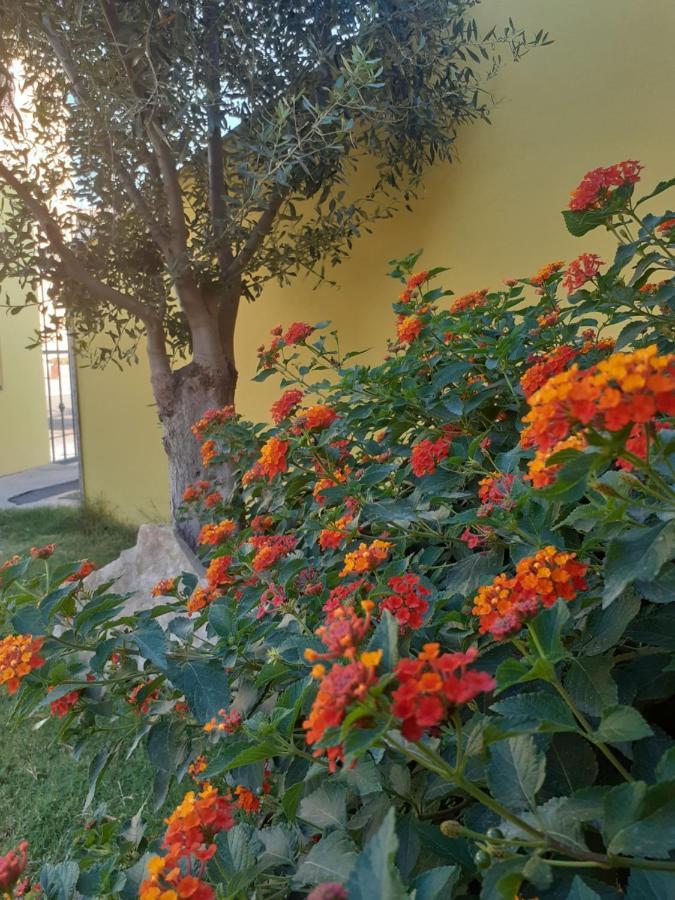 Appartamento A Pula In Zona Residenziale Luaran gambar