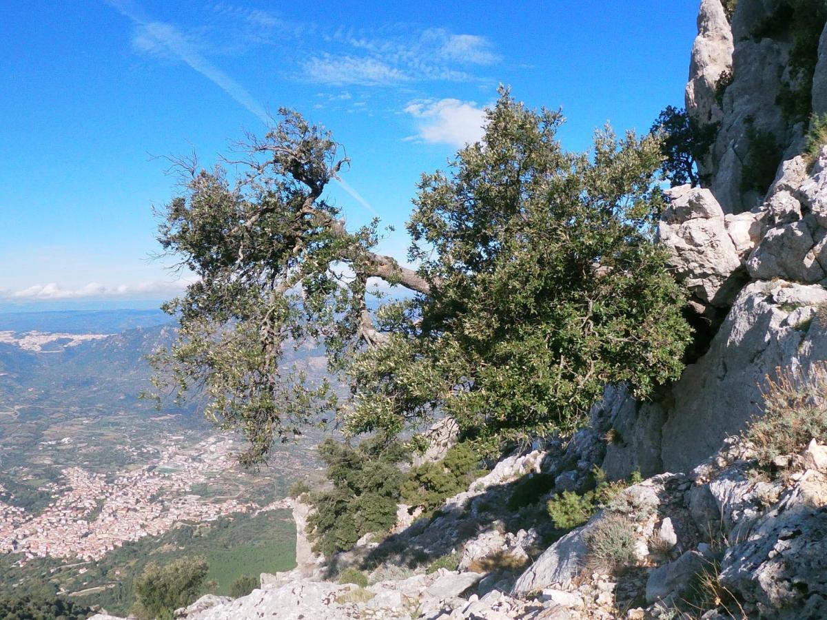 Appartamento A Pula In Zona Residenziale Luaran gambar